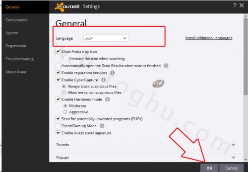 Avast-Install-10