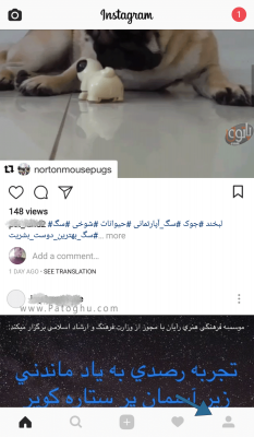 آموزش مشاهده پست های لایک شده توسط شما در اینستاگرام 