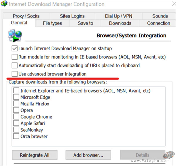 Internet Download Manager