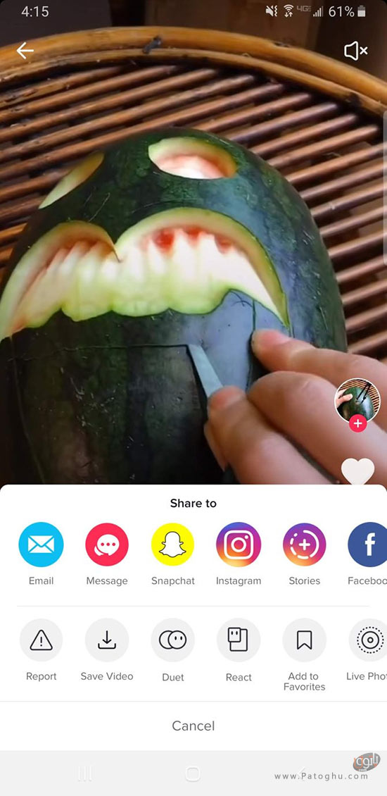 دانلود ویدئو های TikTok