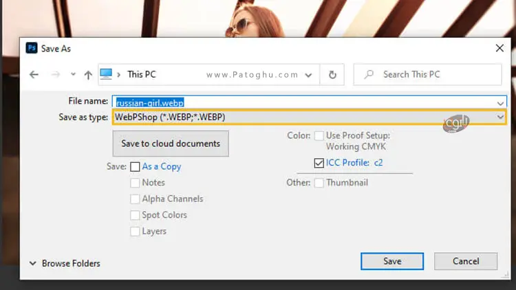 webshop2 WebP